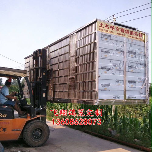 飛翔鴿籠 不銹鋼放飛籠 訓(xùn)放籠 賽鴿籠 賽鴿集裝箱產(chǎn)品展示